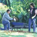 Get your garden and lawn ready for winter