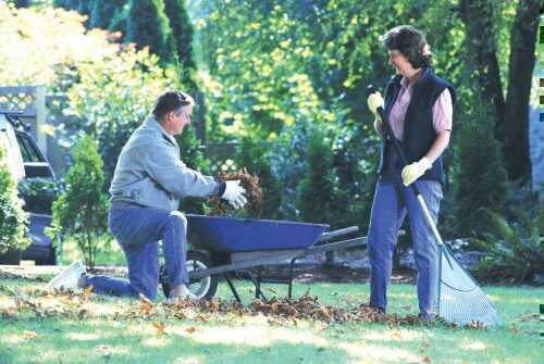 fall-garden Get your garden and lawn ready for winter's wrath.