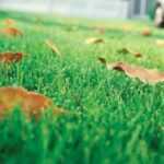 Take the time now to protect your yard and you will be rewarded with a lush, beautiful and weed resistant lawn and garden in the spring.