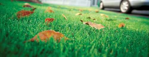 lawn Take the time now to protect your yard and you will be rewarded with a lush, beautiful and weed resistant lawn and garden in the spring.