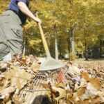 organic Tip: Discover the magic of mulching. A thick layer of mulch not only keeps weeds down, it retains moisture and adds nutrients as it slowly decomposes.