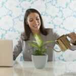 indoor-gardening Jump-start the season of growth indoors and enjoy it through the last moments of winter.