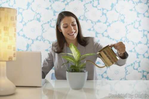 Jump-start the season of growth indoors and enjoy it through the last moments of winter.