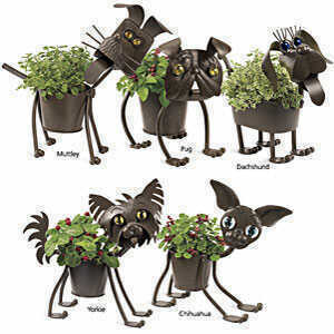 garden-mini-planters garden-mini-planters