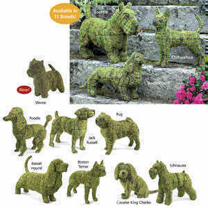 garden-topiaries garden-topiaries