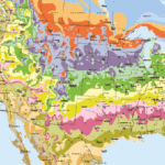 smallmap-460
