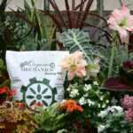 Support sustainable practices with Organic Mechanics potting soil.