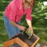spring-gardening-1 spring-gardening-1
