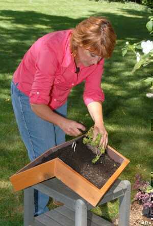 spring-gardening-1