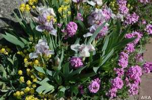 spring-gardening-2
