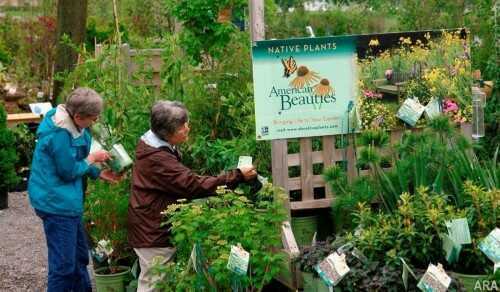 edible gardens Shoppers check out the American Beauties Native collection which supports the National Wildlife Foundation's Backyard Habitat program.