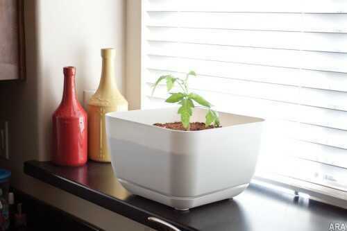 Simple Gardens