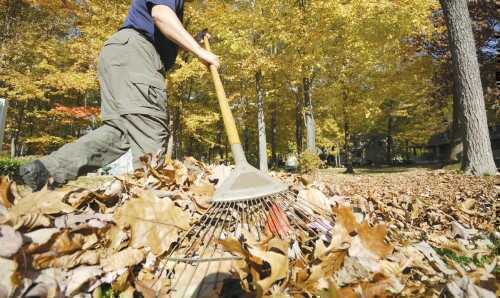 magic of mulching